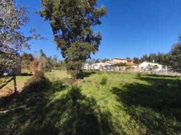 Lote de Terreno Venda em Poiares Santo André,Vila Nova de Poiares