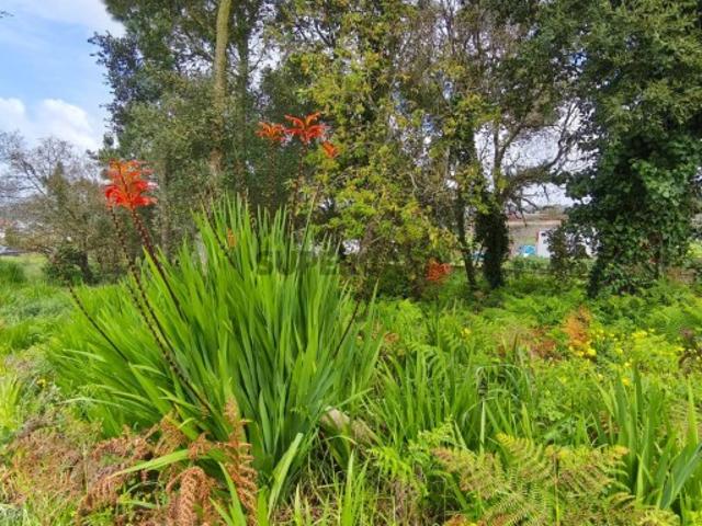 Lote de 2.398m² na Achada Mafra