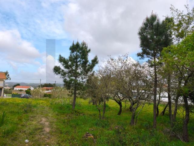 Lote de 2.398m² Mafra