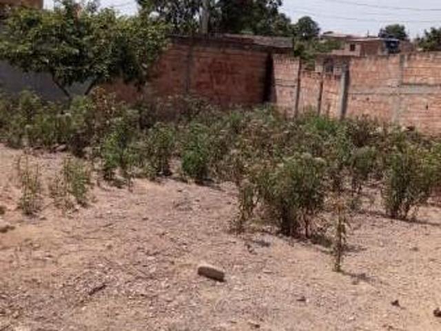 LOTE DE 393m2