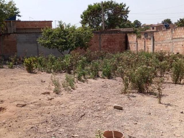 LOTE DE 393m2