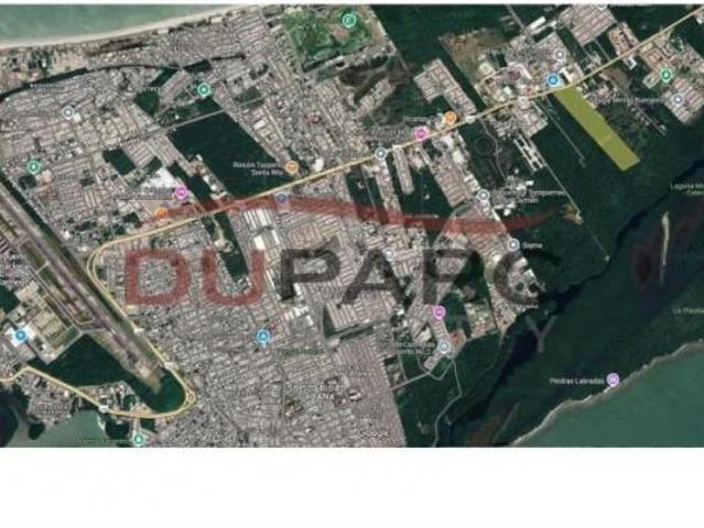 Lote de 5,000m2 en Venta, Carretera Carmen Puerto Real