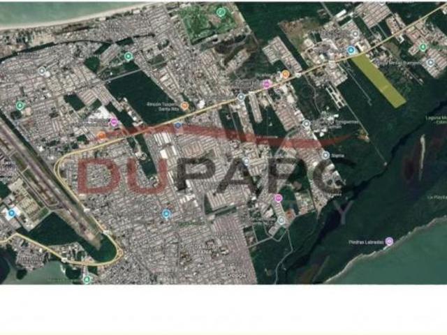 Lote de 5,000m2 en Venta, Carretera Carmen Puerto Real