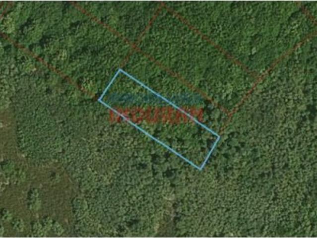 Lote de 8 fincas rústicas en Castañar de Ibor