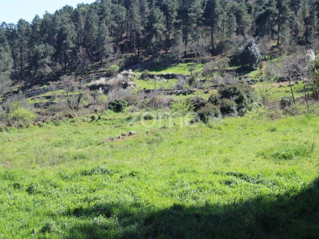 Lote de 940 m2, no monte de Nossa Senhora Do Castelo Mangualde