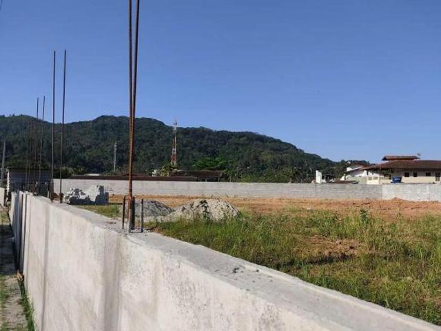 Lote em Marginal BR 101 Saco da Ribeira Ubatuba/SP