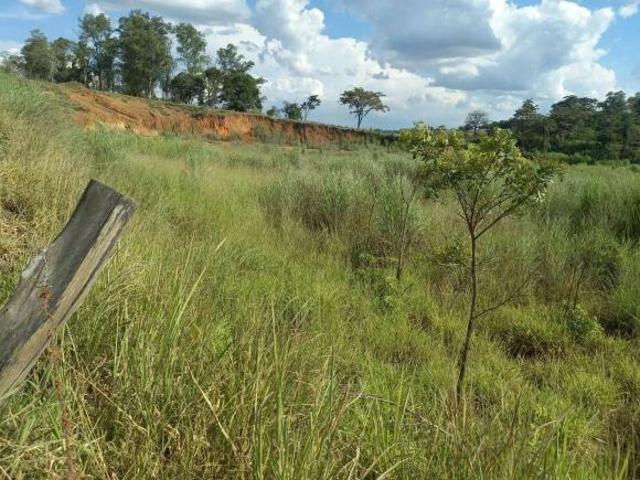 Lote em Mg 424 Parque industrial maconi issa São José da Lapa/MG