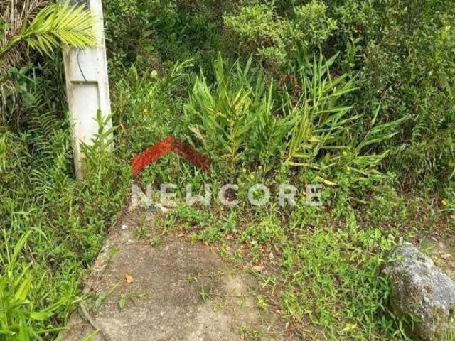 Lote em Av Das Goabeiras Balneário Campos Eliseos Itanhaém/SP