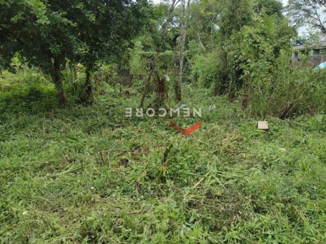 Lote em Av. Rio de Janeiro Q. C, gleba 17 Jardim Coronel Itanhaém/SP