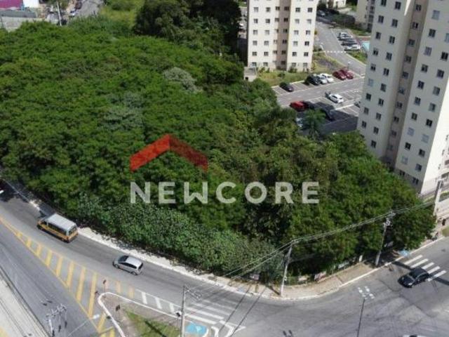 Lote em Avenida Aníbal Correia Parque Viana Barueri/SP