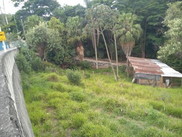 Lote em Avenida Aníbal Correia Parque Viana Barueri/SP