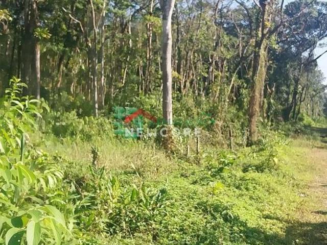 Lote em Avenida Agenor de Campos Jussara Mongaguá/SP