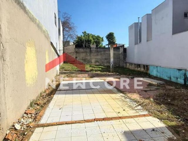Lote em Avenida Araucária Parque Oratório Santo André/SP