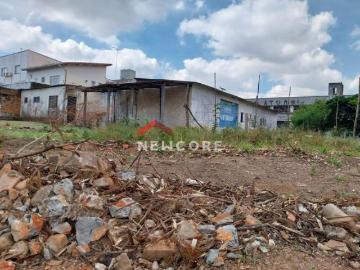 Lote em Avenida Doutor Carlos de Campos Vila Industrial Campinas/SP