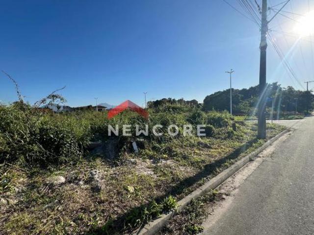 Lote em Avenida das Américas Estância São José Peruíbe/SP
