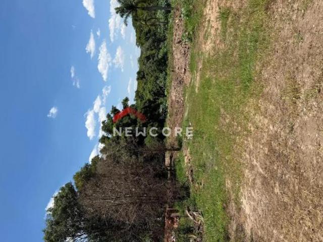 Lote em Avenida Francisco Antônio Maximiano Jardim Vila Rica Tanabi/SP