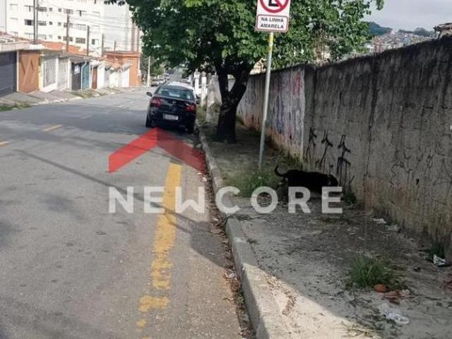 Lote em Avenida Jaguaribe Jaguaribe Osasco/SP