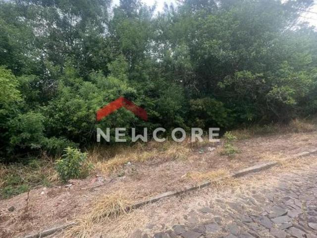 Lote em Avenida Machado de Assis Boa Vista Parobé/RS