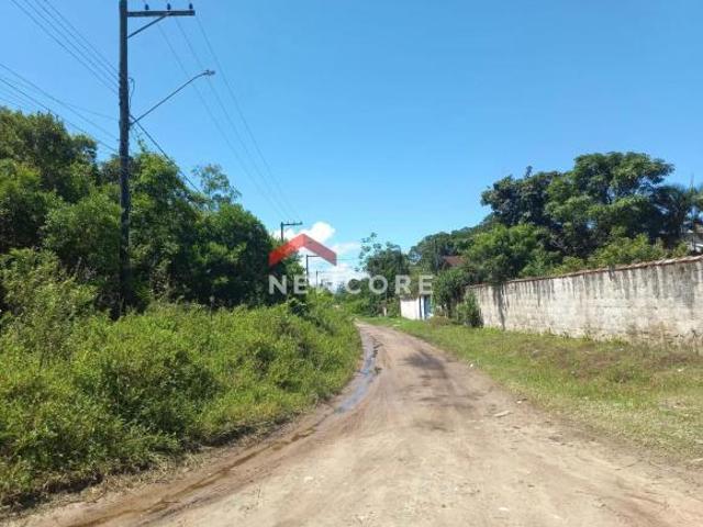 Lote em Avenida Paraná Jardim Coronel Itanhaém/SP