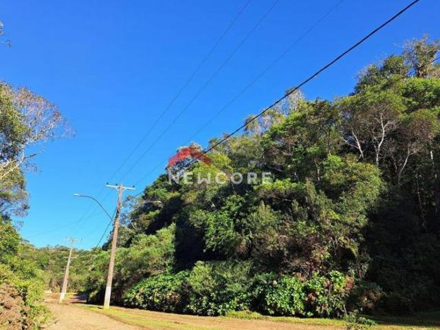 Lote em Avenida Ximangos Colinas São Francisco de Paula/RS