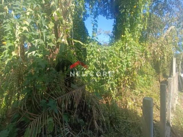 Lote em Alameda Cubatão Boracéia São Sebastião/SP