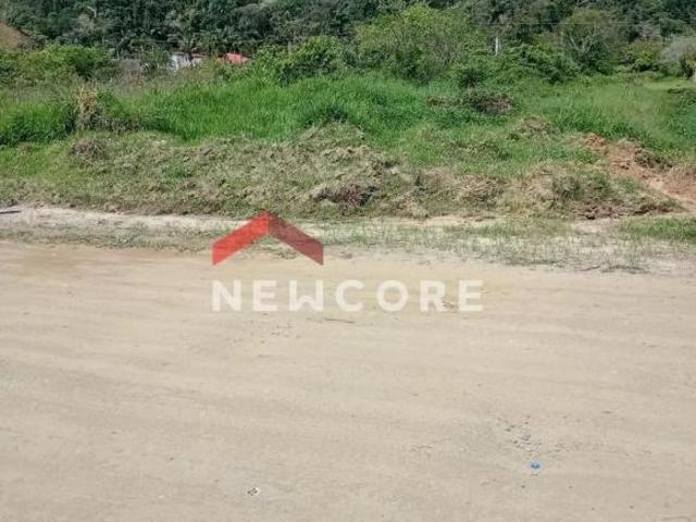 Lote em Alameda do Azulão Manacá dos Itatins Peruíbe/SP