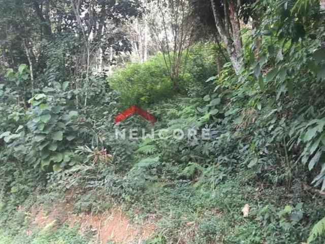 Lote em Alameda dos Ipês Capoavinha Mairiporã/SP