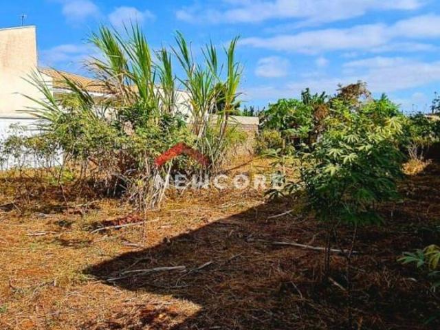 Lote em Alameda dos Pinheiros Cidade Jardim Pirassununga/SP