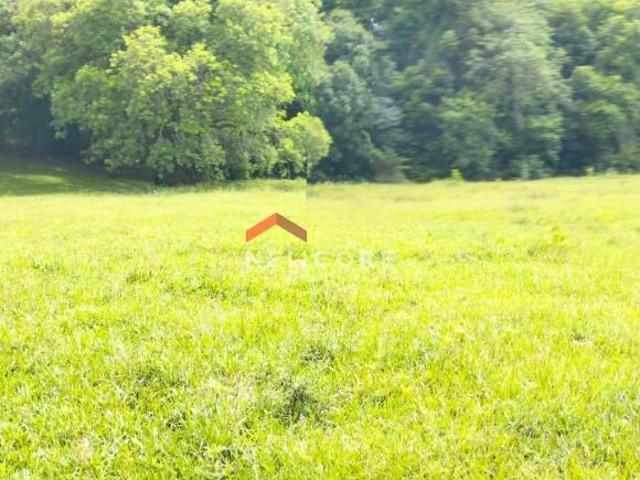 Lote em Área ideal para Resgate de Carbono Perímetro 2.099 m Balsa Nova/PR