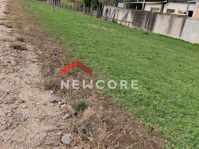 Lote em Área Rural Campo Largo da Roseira São José dos Pinhais/PR