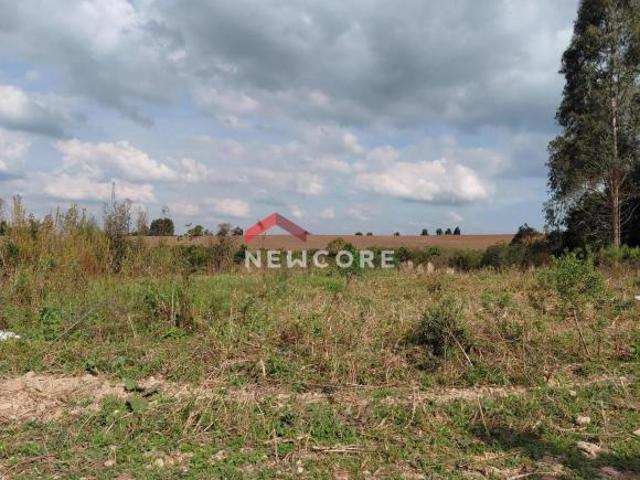 Lote em Área Rural Campina do Taquaral São José dos Pinhais/PR