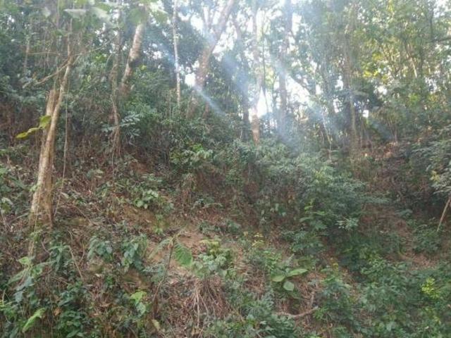 Lote em condomínio em Alameda dos Canários Caraguatá Mairiporã/SP