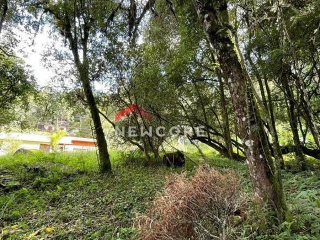 Lote em condomínio em Avenida Pedro Paulo Capivari Campos do Jordão/SP