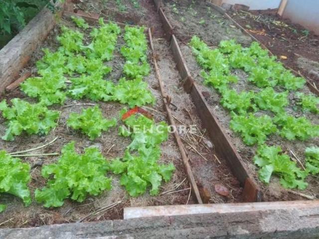 Lote em condomínio em Doutor Camargo Centro Doutor Camargo/PR