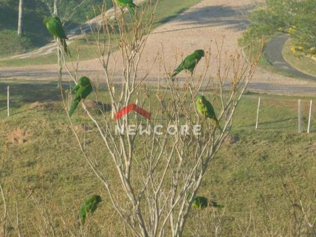 Lote em condomínio em Estrada Municipal Pedro Moacir de Almeida Alto da Ponte São José dos Campo