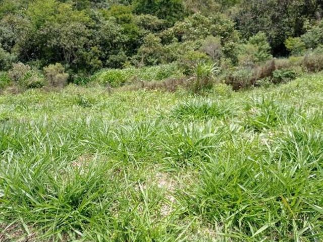Lote em condomínio em Rodovia Raposo Tavares Sítio Boa Vista Cotia/SP
