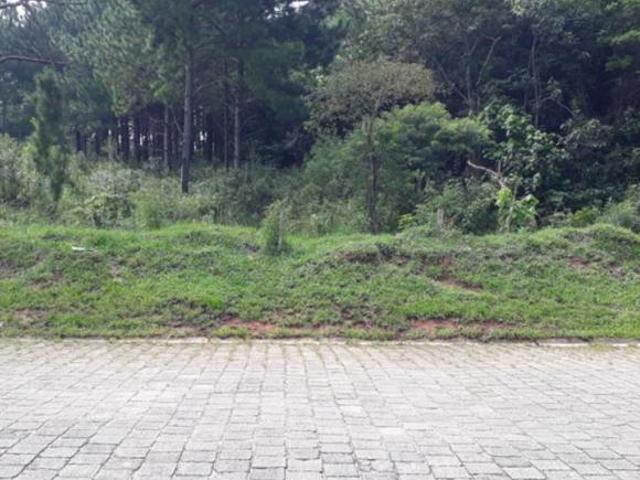 Lote em condomínio em Rua Sergipe Jardim Barbacena Cotia/SP