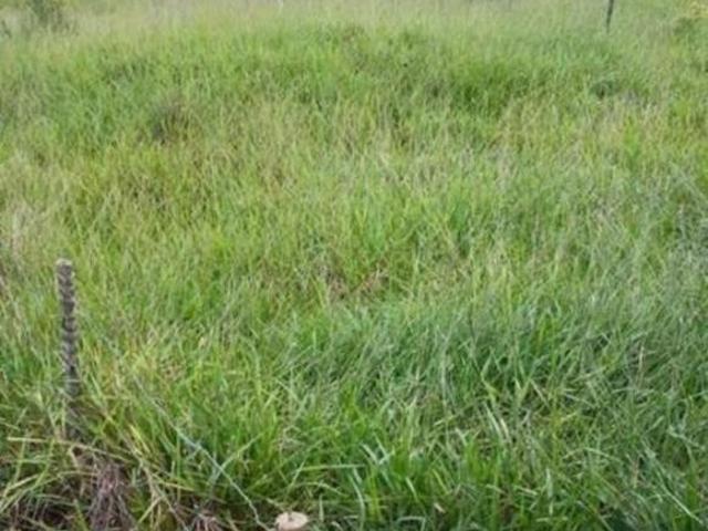 LOTE EM CONDOMÍNIO RESIDENCIAL EM BELO ORIENTE