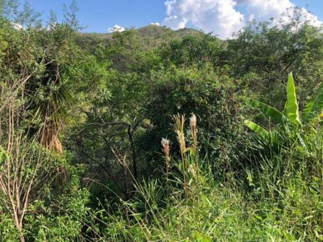 Lote em condomínio, Vila Del Rey Anexo, Vila Del Rey, Nova Lima, R$1.200.000,00, à venda na TWA Inve