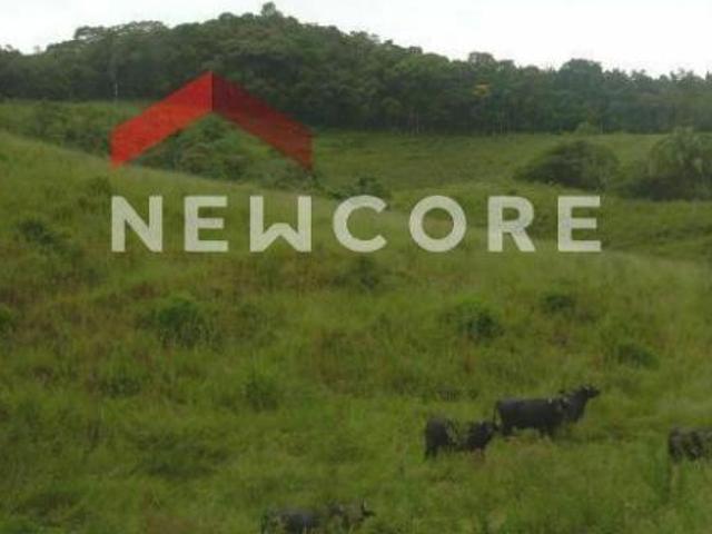 Lote em Estrada dos Fernandes Parque Santa Rosa Suzano/SP