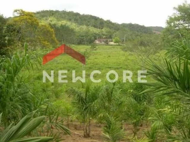 Lote em Estrada dos Fernandes Parque Santa Rosa Suzano/SP
