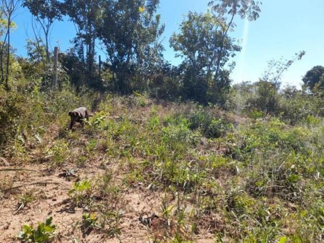 Lote em Juatuba, bairro Samambaia, ótimo investimento, asfalto, água, luz, bairro em crescente valo