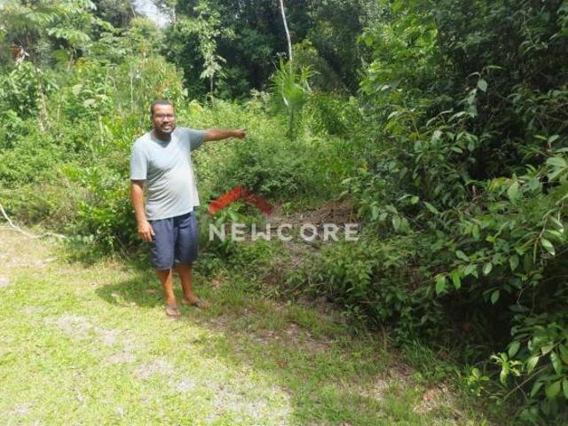 Lote em km 36,5 Santa Bárbara Iguape/SP