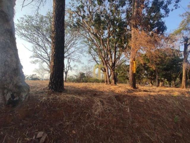 Lote em Lagoa Santa no Bairro Lagoinha de Fora