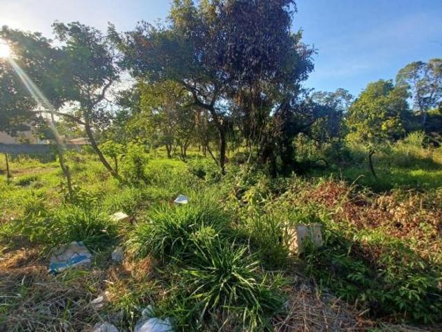 Lote em Lagoa Santa no bairro Santos Dumont