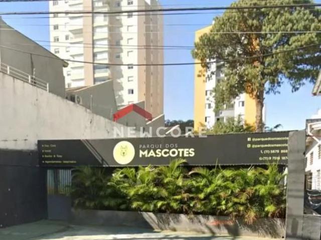 Lote em Rua Viçosa do Ceará Vila Mascote São Paulo/SP