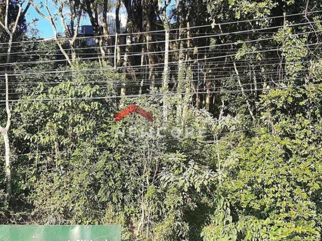 Lote em Rua Abel Parmegiani Floresta Gramado/RS