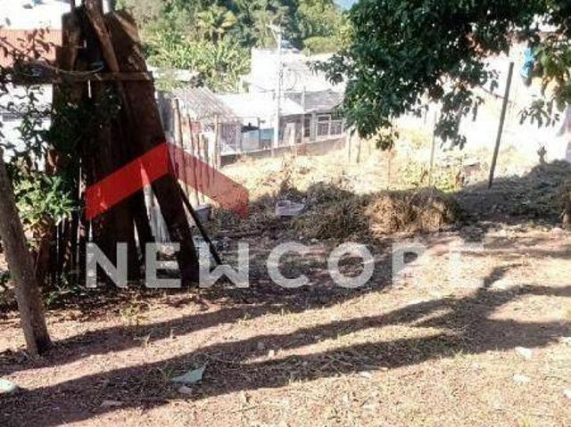 Lote em Rua Albertino Augusto Vieira Parque das Garças São Bernardo do Campo/SP
