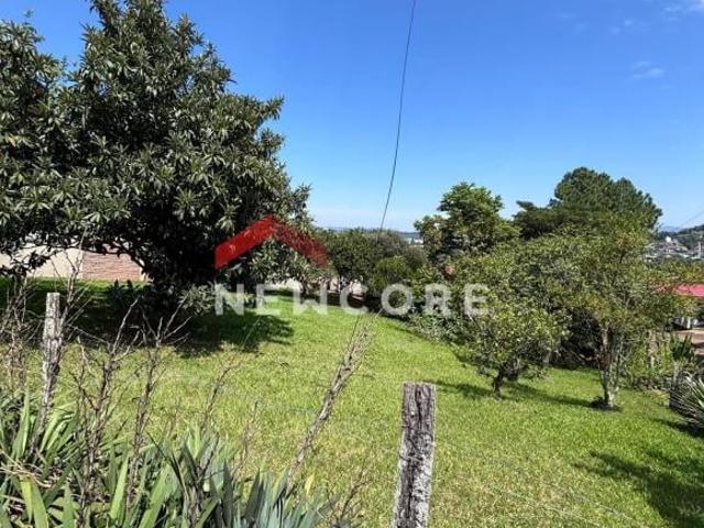 Lote em Rua Albino Boes Santa Rosa Taquara/RS