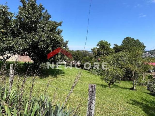 Lote em Rua Albino Boes Santa Rosa Taquara/RS